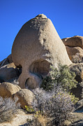 Skull Rock #1 Joshua Tree Photograph by Blake Webster