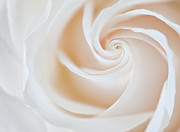 Soft Swirls Photograph by Susan Candelario