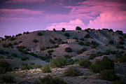 Sometimes Skies Really Are Pink Photograph by Mary Lee Dereske