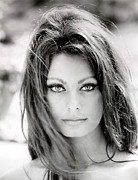 Sophia Loren Photograph by Georgia Clare
