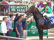 Special Ops Photograph by Robert Newman