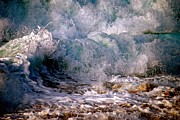 Renaissance Wave   Hawaii Photograph by Debra Banks