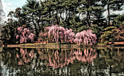 Spring Reflections Photograph by Onedayoneimage Photography
