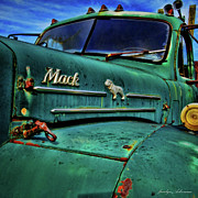 Still Mighty Photograph by Jacalyn Ackerman