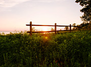 Sun Setting Photograph by Rachel Morrison