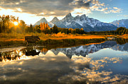 Teton Moose Sunset Stroll Photograph by Adam Jewell