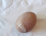 The Gift Photograph by Richard Reeve