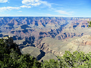 The Grand Canyon Photograph by Rachel Morrison