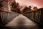 The Pathway Photograph by Kenny Thomas