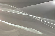 A Rush of Wings Digital Art by Gina Harrison