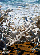 Tidal Abstraction Photograph by Joe Schofield