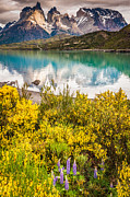Torres del Paine Reflection - Patagonia Photograph Photograph by Duane Miller