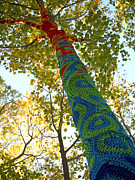 Tree Crochet Photograph by Robert Newman