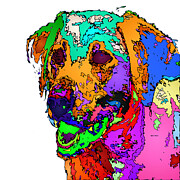 Want To Go For A Walk. Pet Series Digital Art by Rafael Salazar