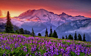 Washington, Mt Rainier National Park - 05 Painting by AM FineArtPrints