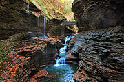 Watkins Glen Photograph by Jessica Jenney