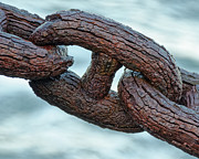 Weathered - The Presidio of San Francisco, California Photograph by Darin Volpe