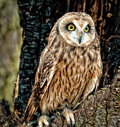 Who's on First Photograph by Marshall Hurley