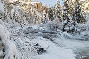 Winter Chill Photograph by Russell Wells
