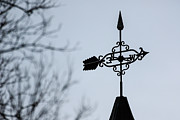 Winter Weathervane Photograph by Joni Eskridge