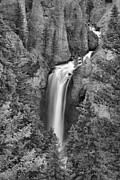 Yellowstone Tower Falls 2018 Black And White Photograph by Adam Jewell