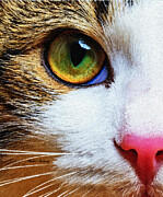 You Know I Love You Digital Art by Rafael Salazar