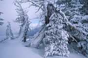 Winter Landscape, Crater Lake Np, Or #1 Digital Art by Heeb Photos