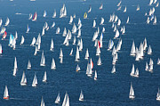 Barcolana Regatta, Italy #2 Digital Art by Andrea Pavan