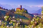 Italy, Trentino-alto Adige, Alps, Trento District, Trentino, Val Di Non, Tassullo, Castel Valer And Apple Trees In Spring #3 Digital Art by Olimpio Fantuz