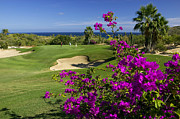 Golf Course, Los Cabos, Mexico #4 Digital Art by Hp Huber
