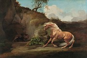 Horse Frightened By A Lion Painting by George Stubbs