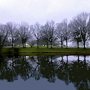 Across the Pond Digital Art by Gina Harrison