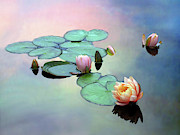 Afloat Photograph by Jessica Jenney