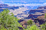 Afternoon at the North Rim Photograph by Douglas Wielfaert