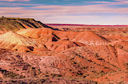 Arizona Painted Desert #1 Photograph by Blake Webster