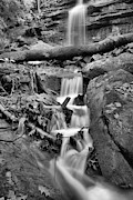 Autumn At McConnells Mill Alpha Falls Black And White Photograph by Adam Jewell
