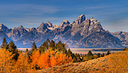 Autumn Gold In The Tetons Photograph by Adam Jewell