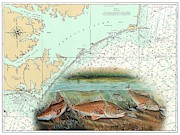 Back Country Bulls Painting by Mark Ray