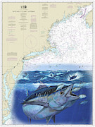 Bluefin Tuna Chart Painting by Mark Ray