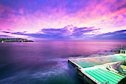 Bondi - Purple Haze Photograph by Monamifoto