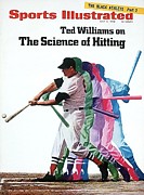 Boston Red Sox Ted Williams Sports Illustrated Cover Photograph by Sports Illustrated