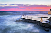 Bronte Pinks Photograph by Monamifoto