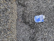 #BudLitter and Two Types of Asphalt Aggregate Photograph by Jeremy Butler