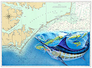 Bue Marlin Chart Painting by Mark Ray
