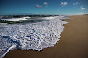 Cape Cod Seashore - Race Point Photograph by Steven David Roberts