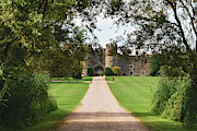 Castle life at Amberley Photograph by Abigail Diane Photography