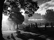 Cemetery, Sunlight, and Fog Photograph by Michael Boehl