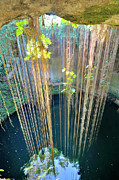 Cenote Ik Kil, Chichen Itza, Mexico Digital Art by Francesca Brusori