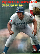 Chicago Cubs Ron Santo... Sports Illustrated Cover Photograph by Sports Illustrated
