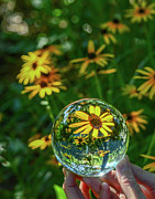 Clear Beauty Photograph by Amfmgirl Photography